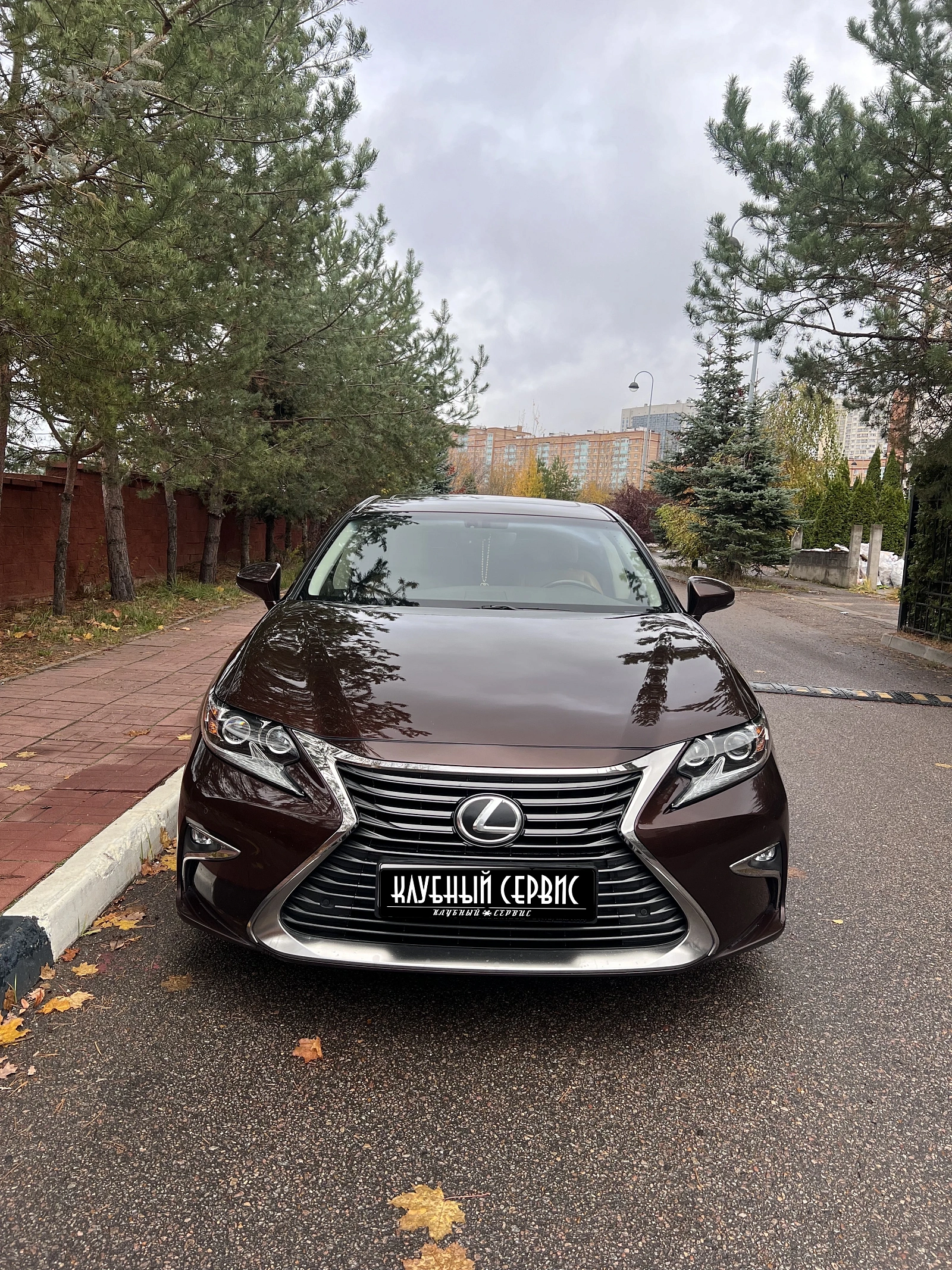 Lexus ES, 2017г, передний привод, автомат