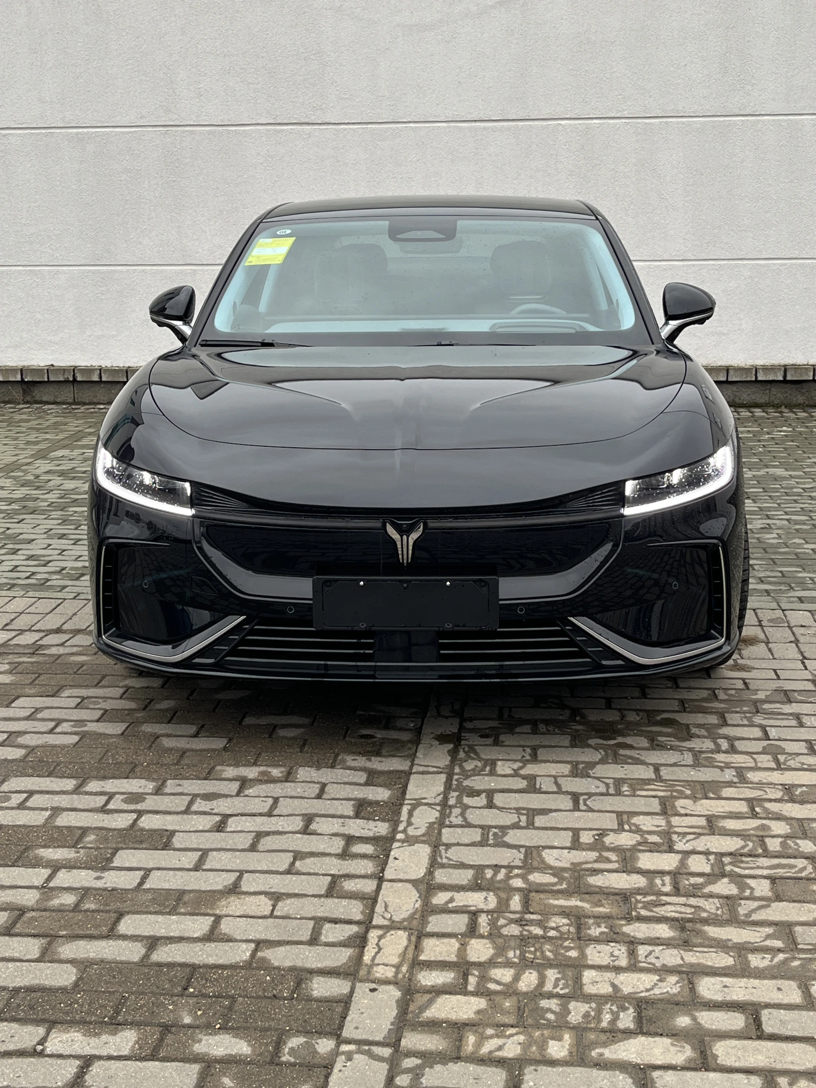 Voyah Passion, 2023г, полный привод, автомат