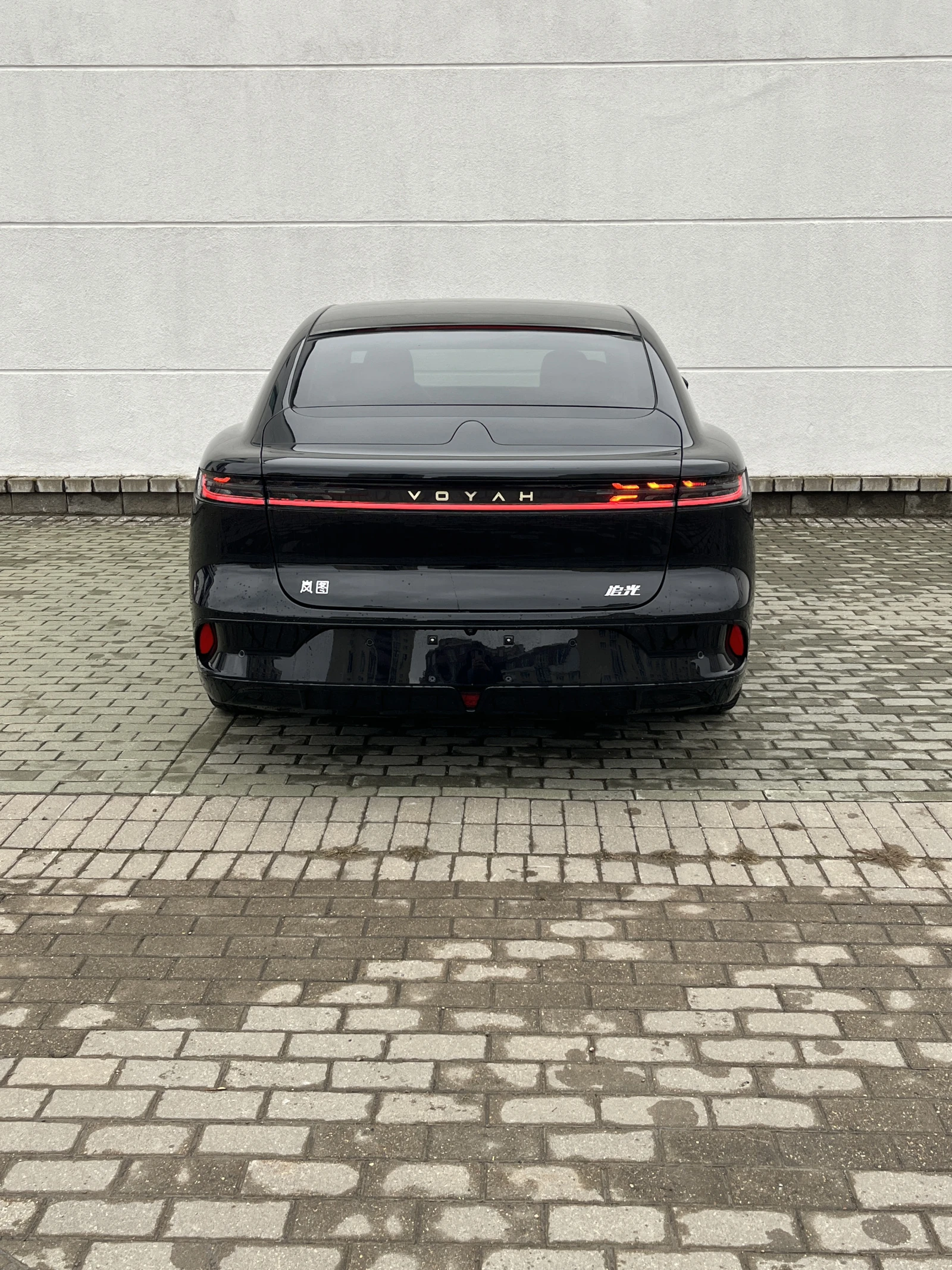 Voyah Passion, 2023г, полный привод, автомат