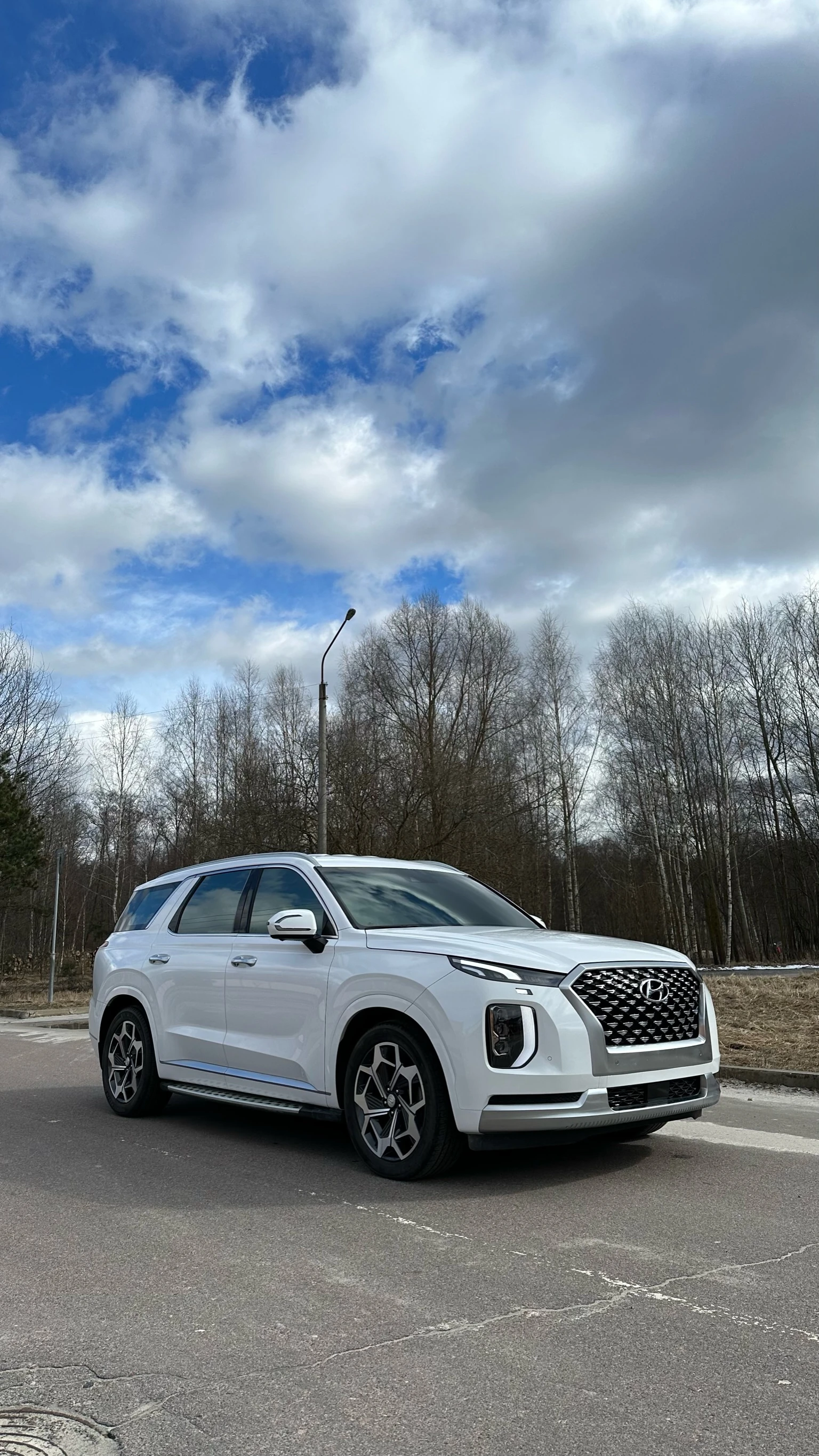 Hyundai Palisade, 2020г, полный привод, автомат