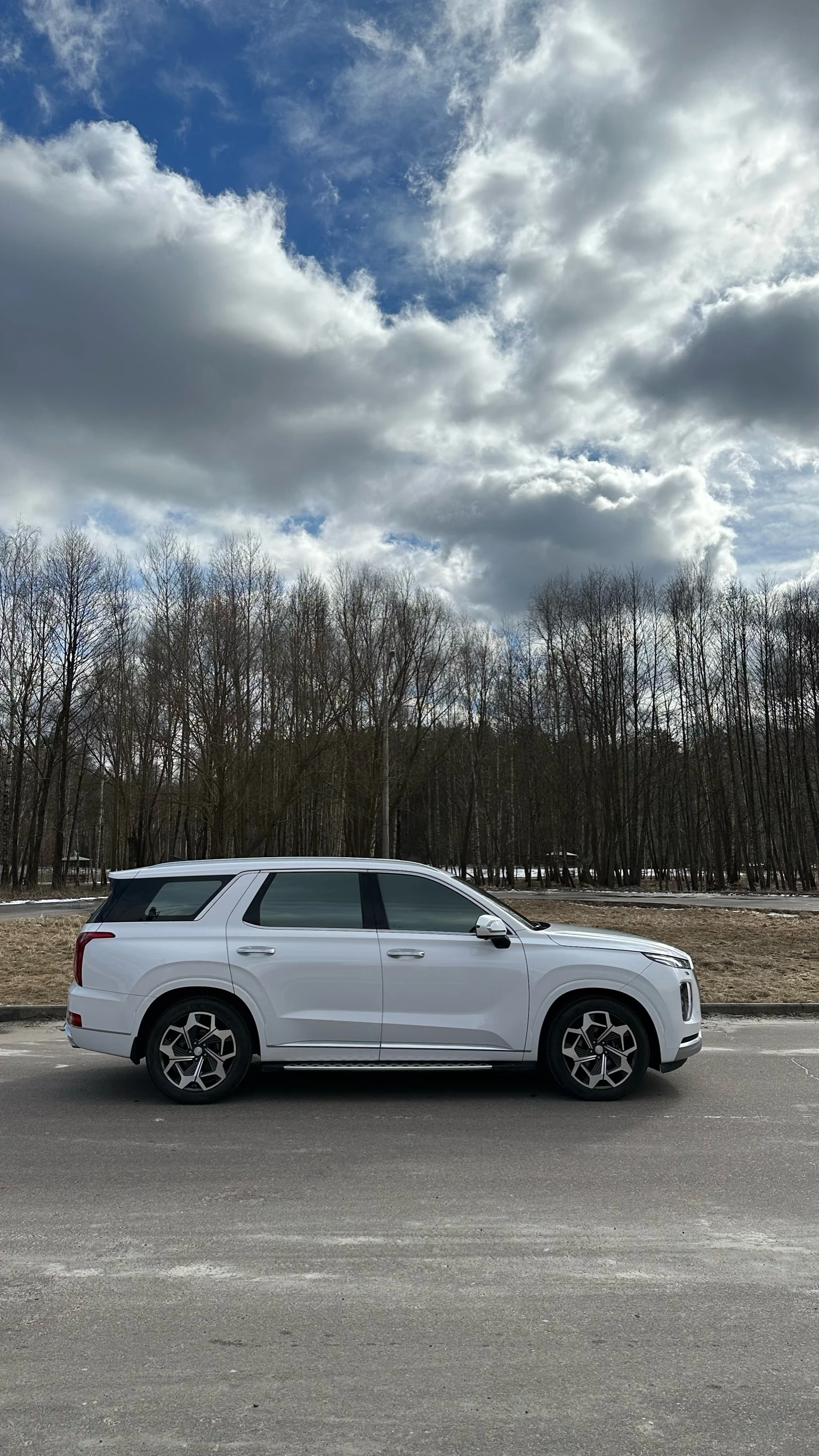 Hyundai Palisade, 2020г, полный привод, автомат