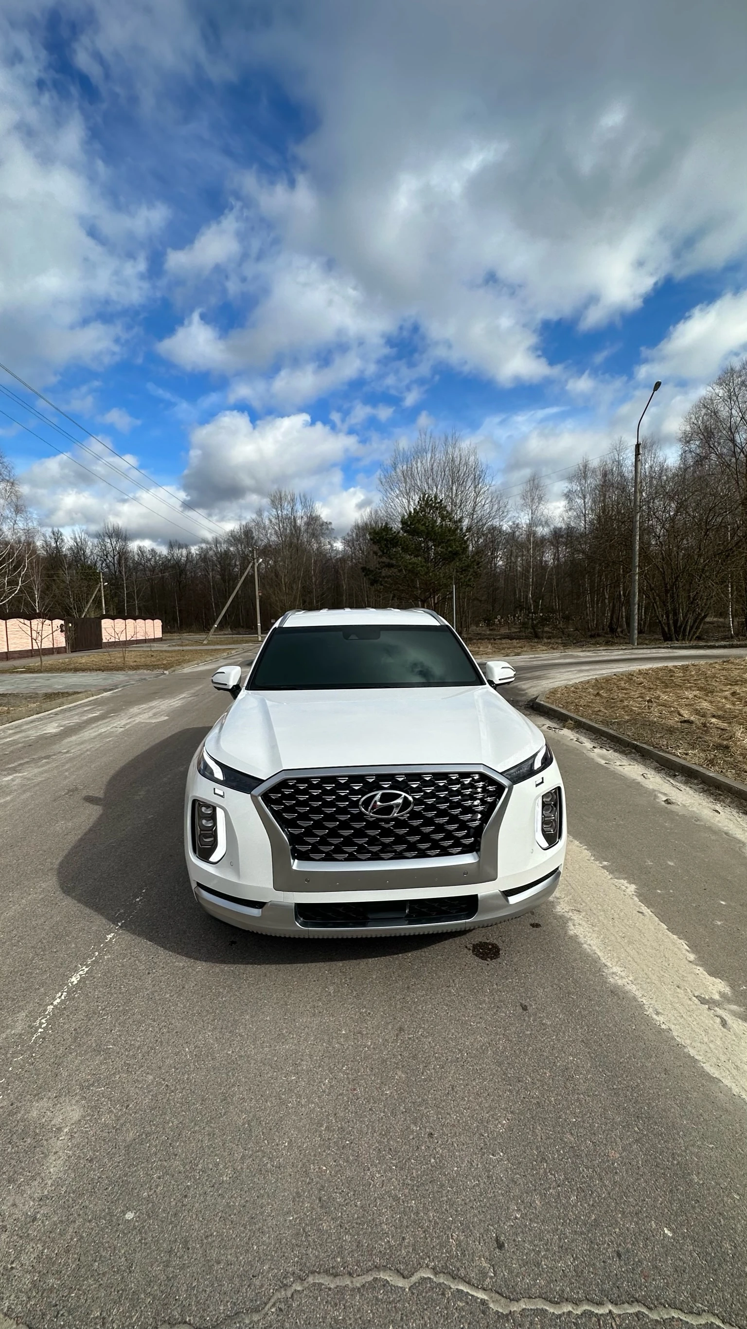Hyundai Palisade, 2020г, полный привод, автомат