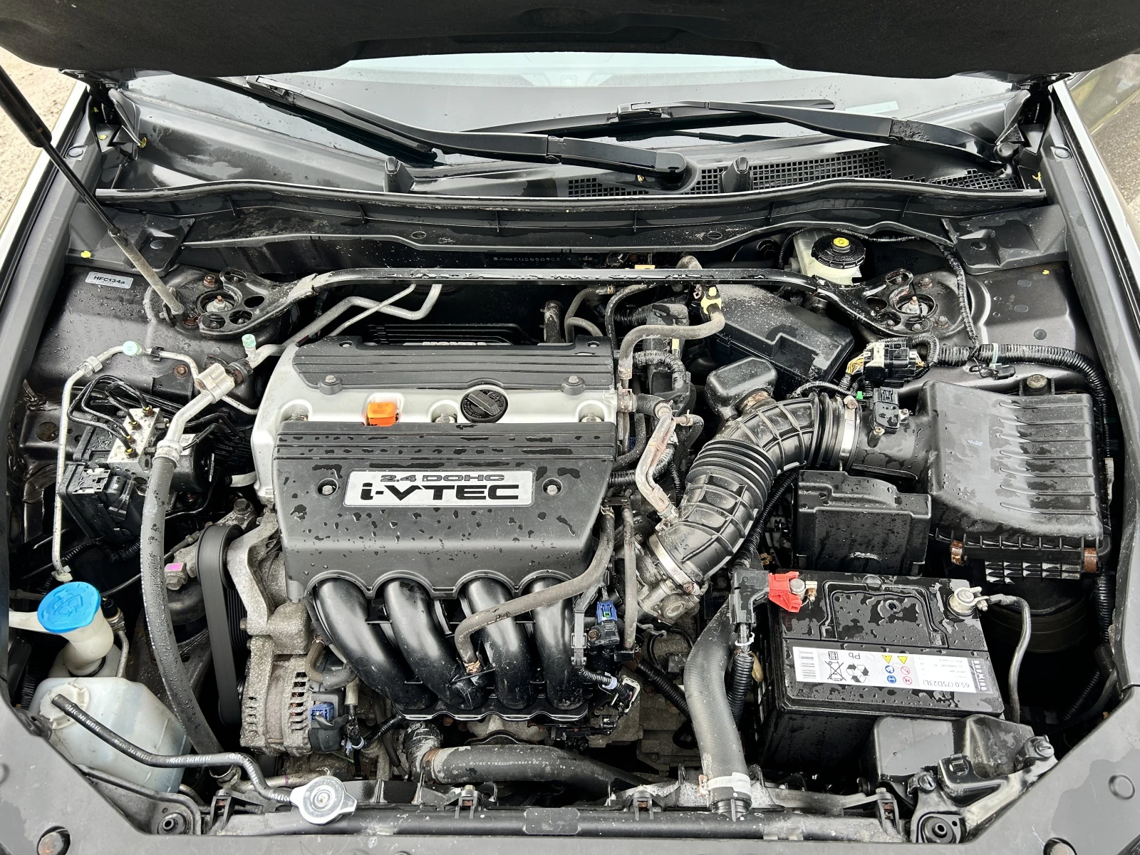 Honda Accord, 2008г, передний привод, автомат