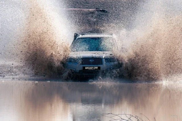 Subaru Forester, 2007г, полный привод, механика