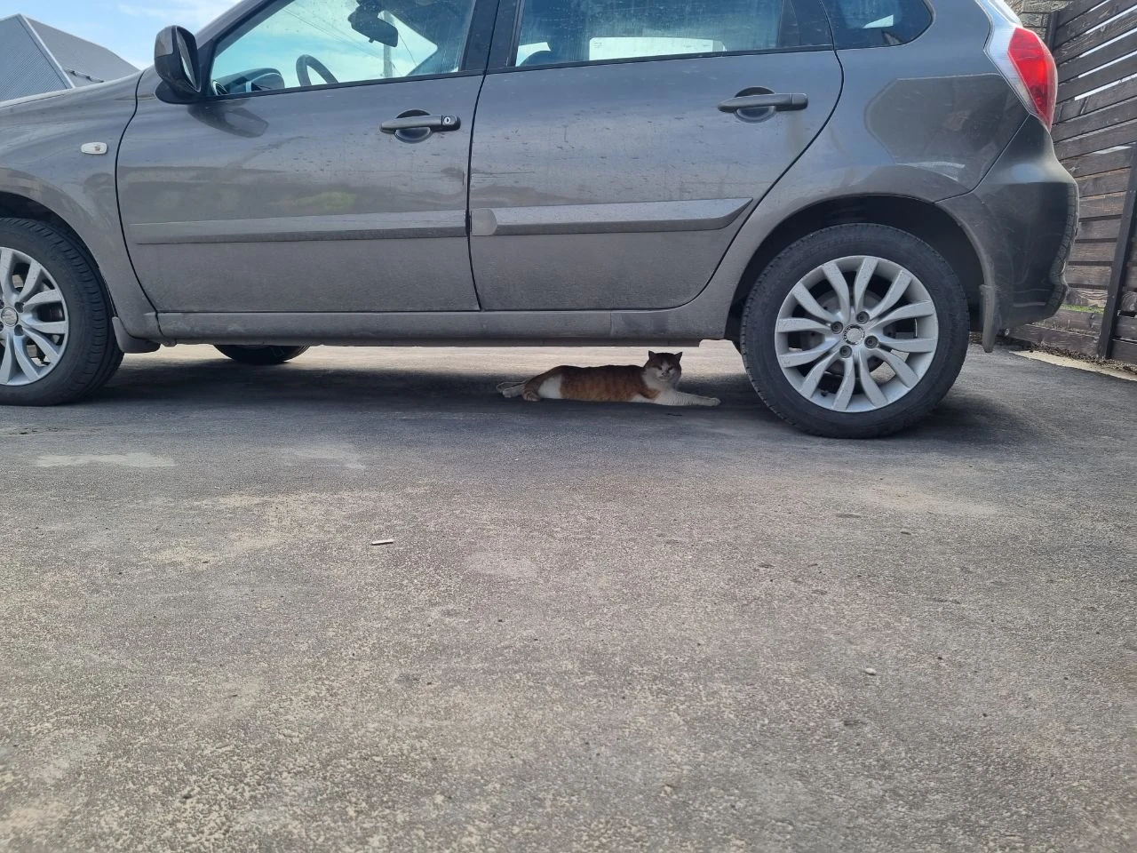 Datsun mi-DO, 2015г, передний привод, механика