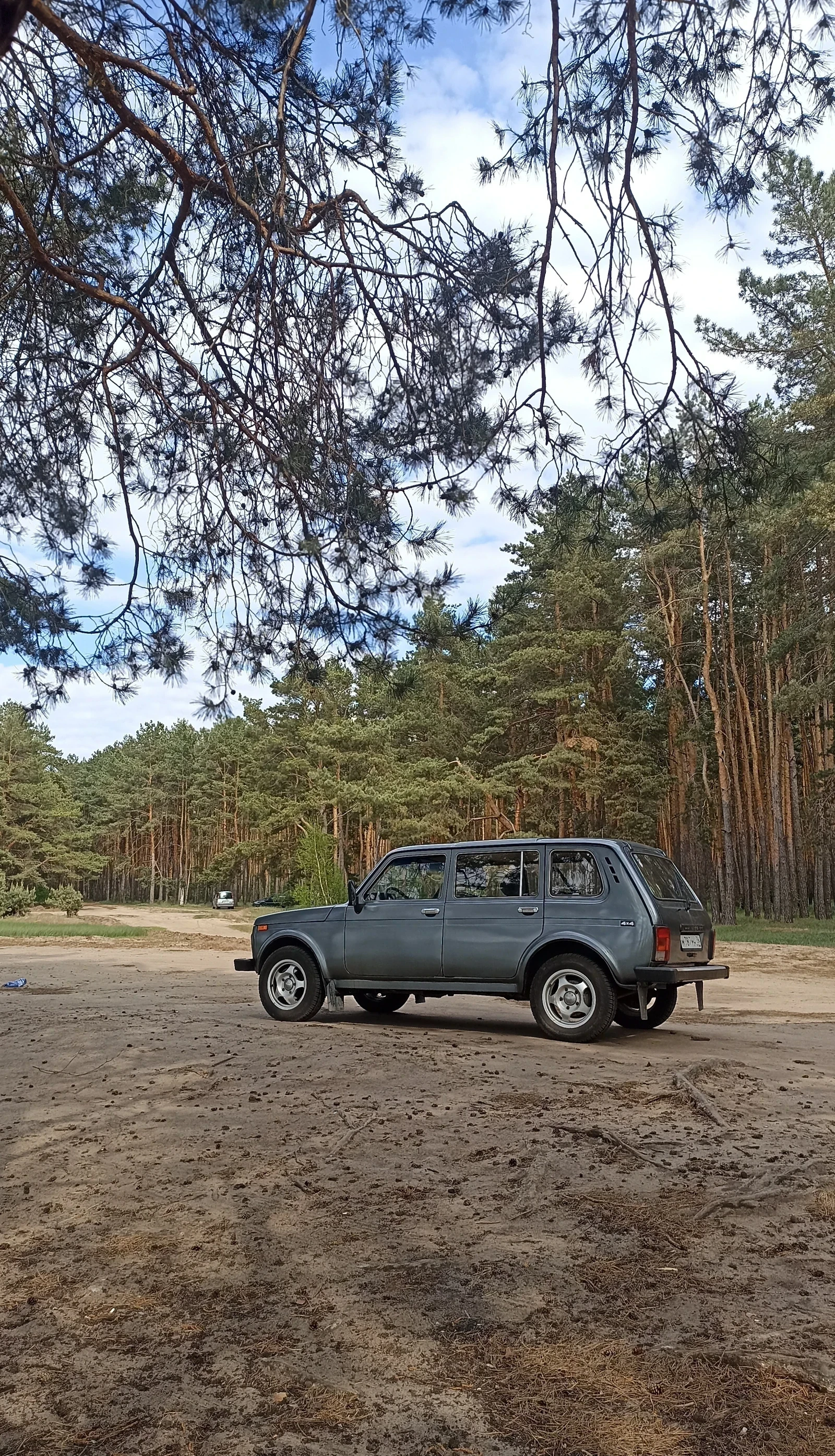 Lada (ВАЗ) 2131 (4x4), 2006г, полный привод, механика