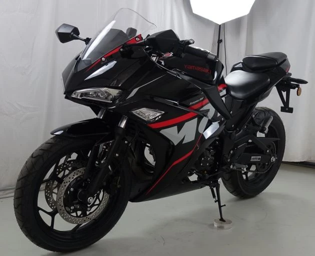 Yamasaki Scorpion, 2025г, Цепь привод, 4 передачи