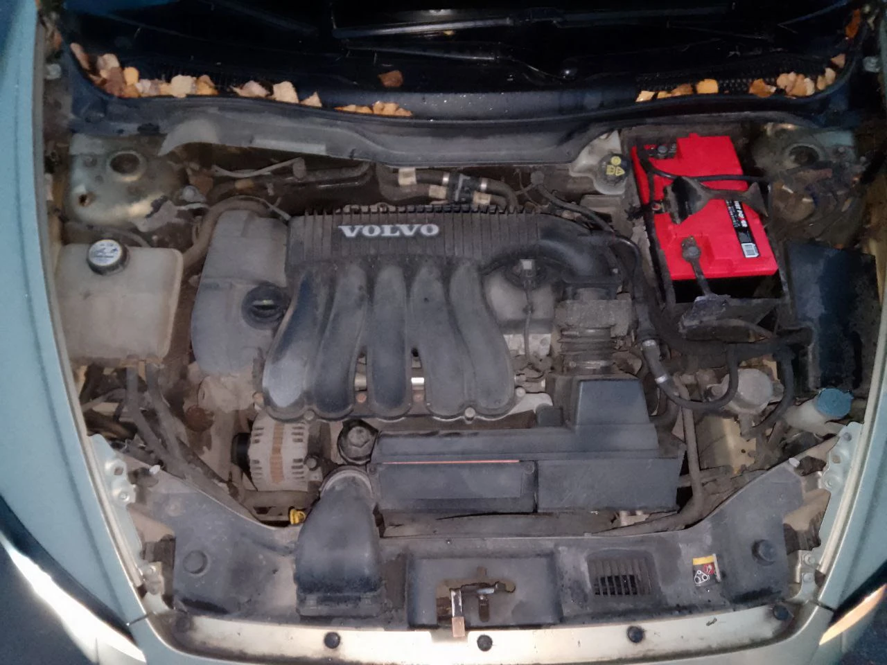 Volvo C30, 2008г, передний привод, автомат
