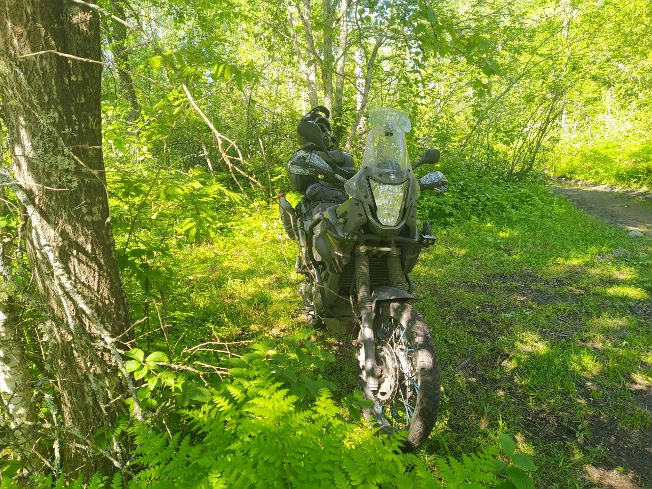 Yamaha XT660Z Tenere, 2012г, Цепь привод, 5 передач