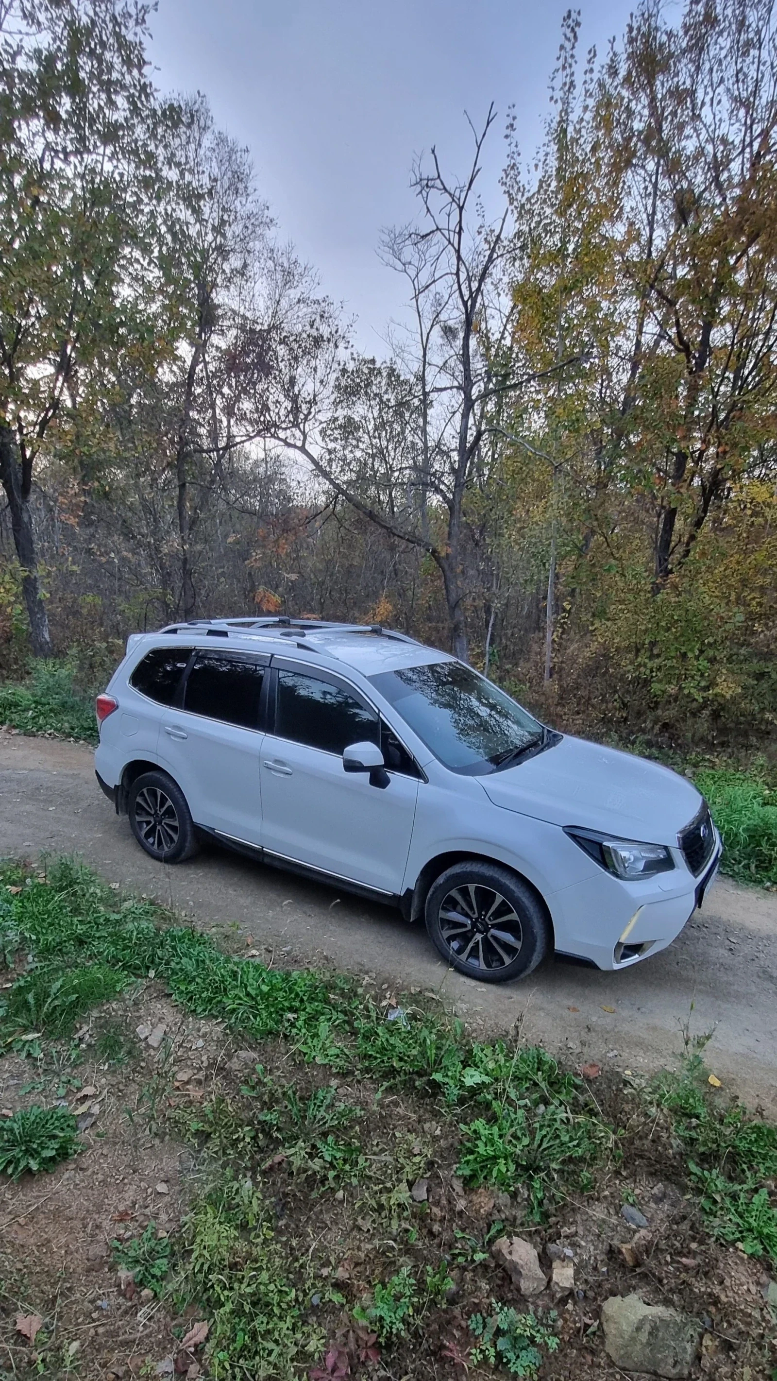 Subaru Forester, 2017г, полный привод, вариатор