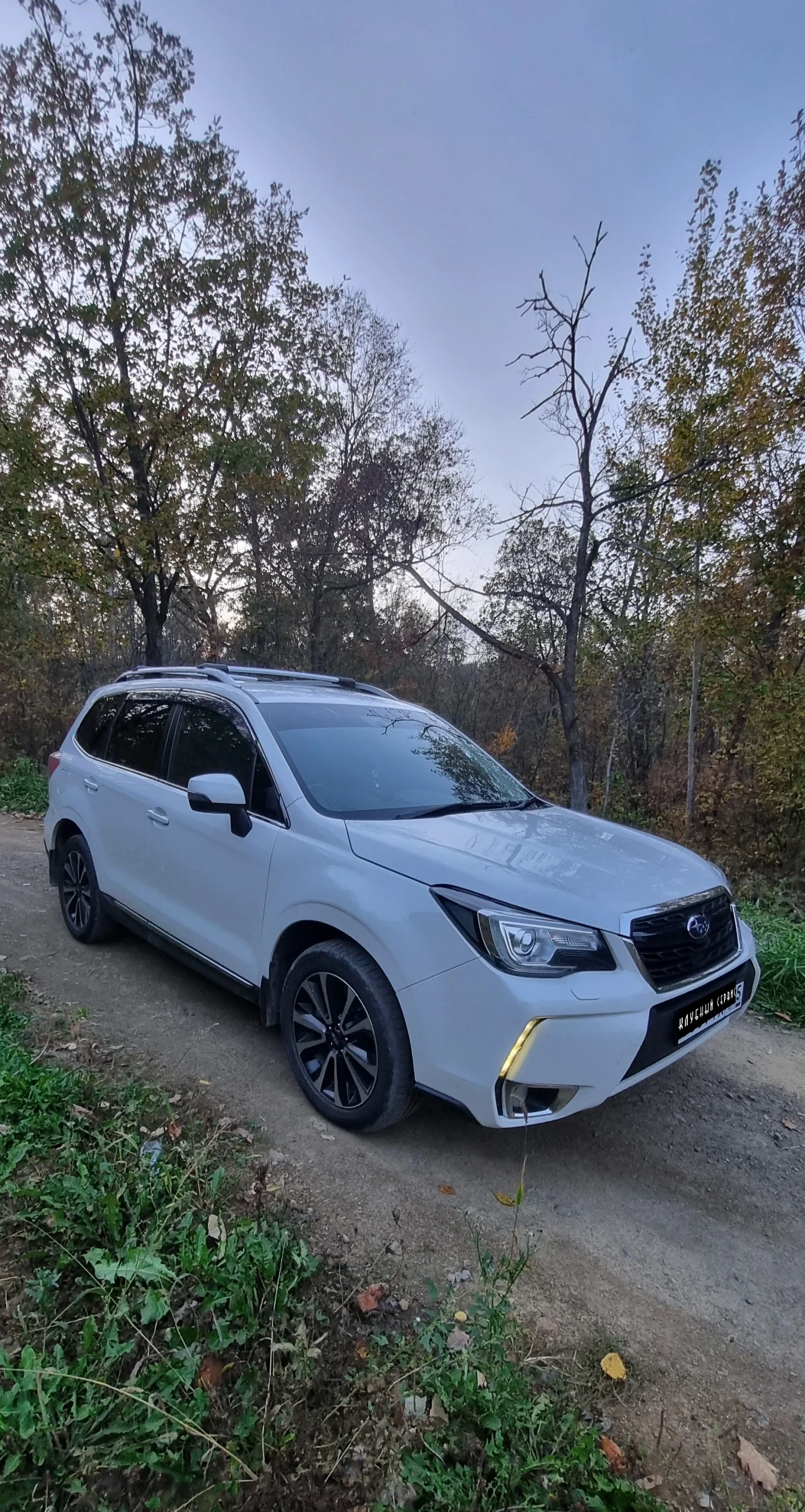Subaru Forester, 2017г, полный привод, вариатор
