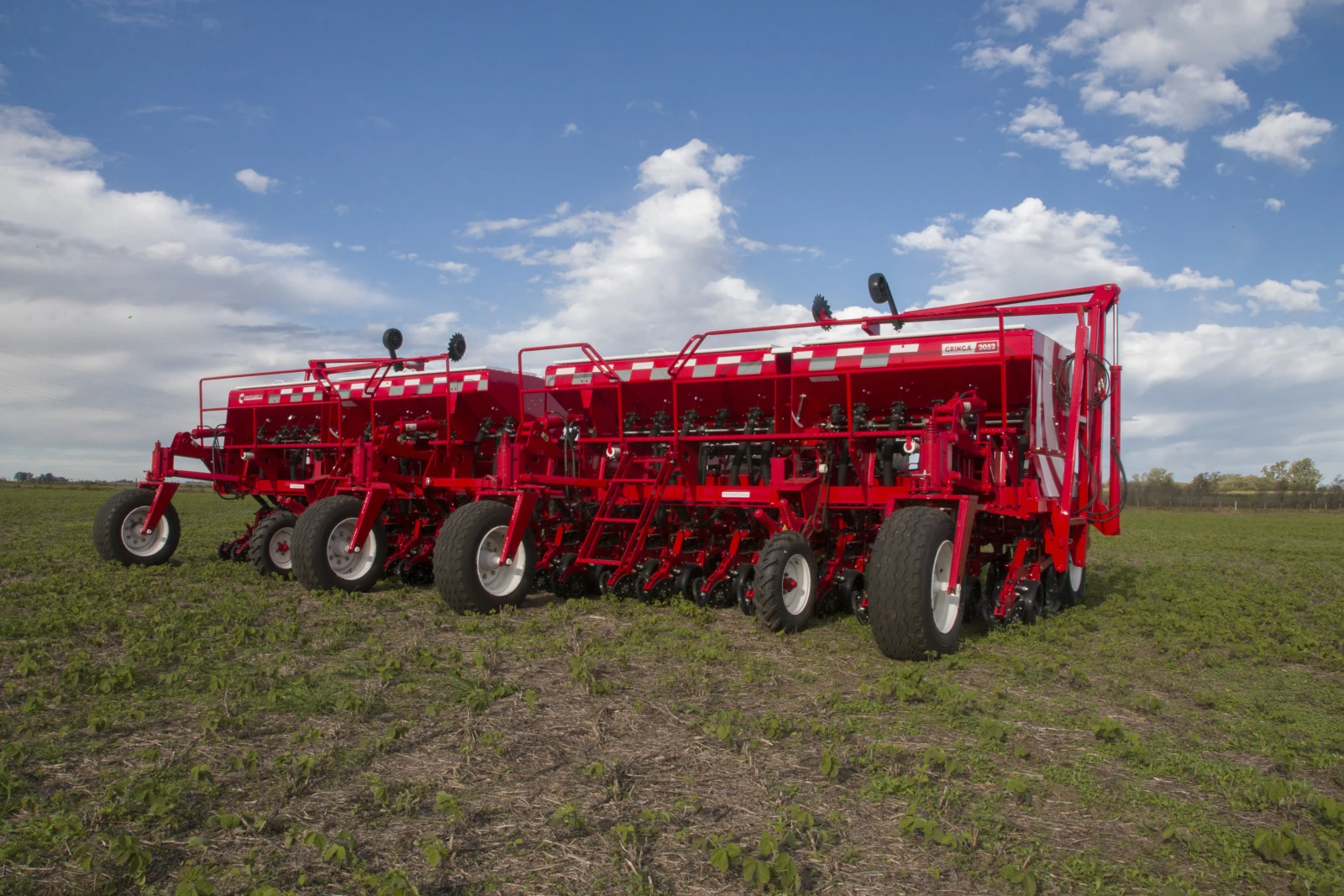 Crucianelli Gringa, 2025г