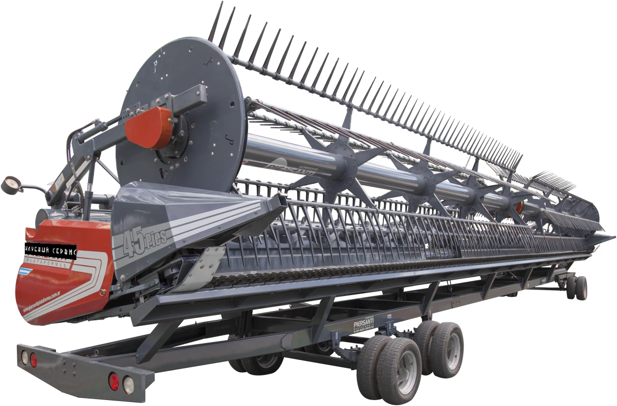 Piersanti DF, 2025г