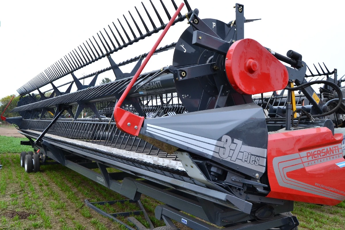 Piersanti DR, 2025г