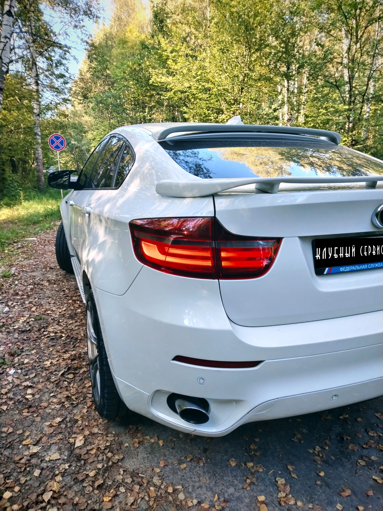 BMW X6, 2009г, полный привод, автомат