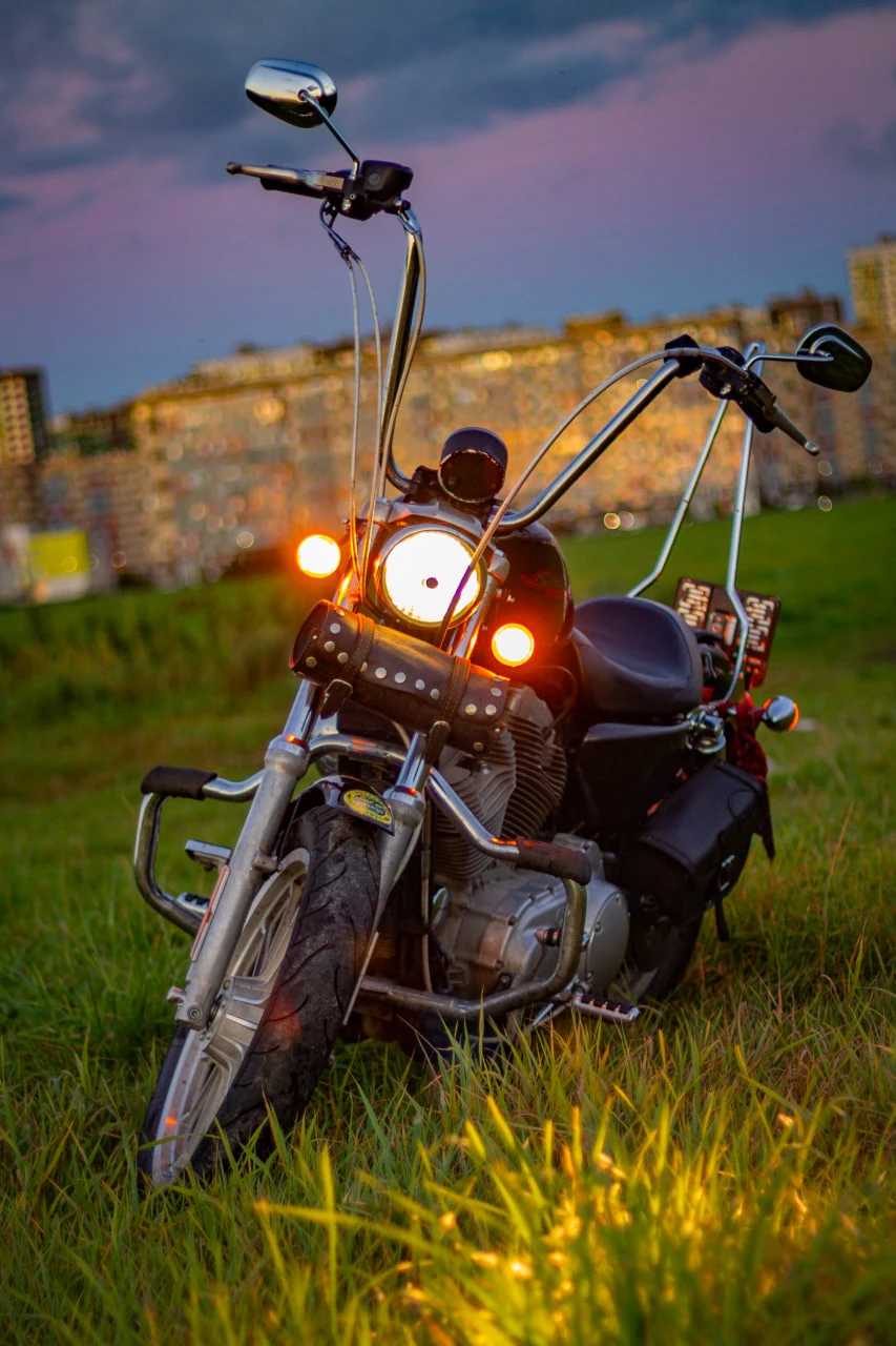 Harley Davidson Sportster 883, 2007г, Ремень привод, 5 передач