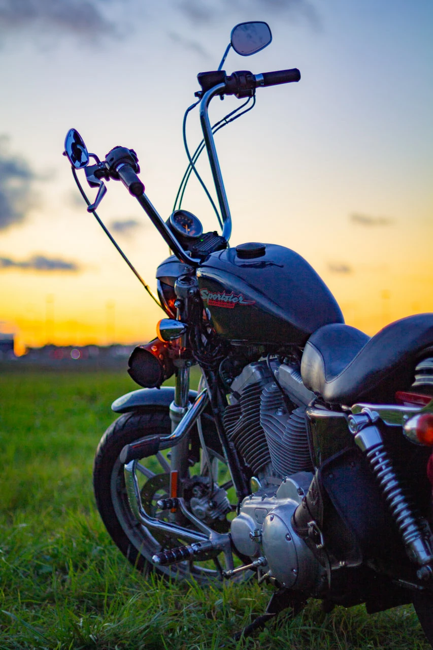 Harley Davidson Sportster 883, 2007г, Ремень привод, 5 передач