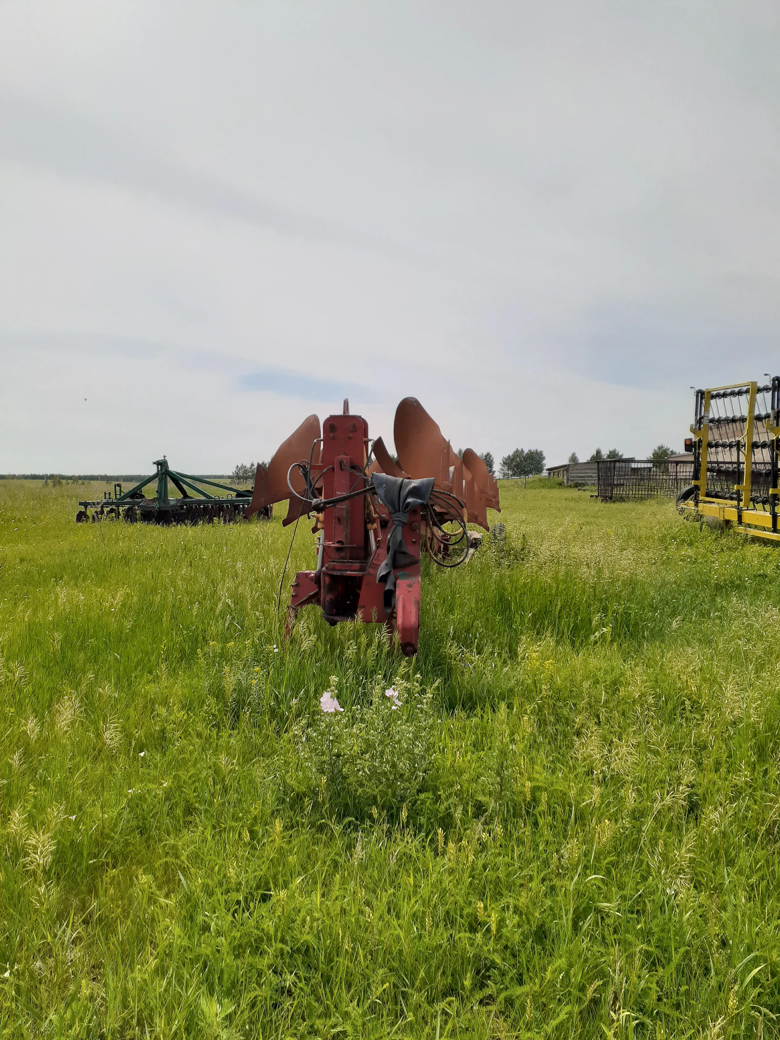 Другие Неизвестна  сельскохозяйственные , 2010г