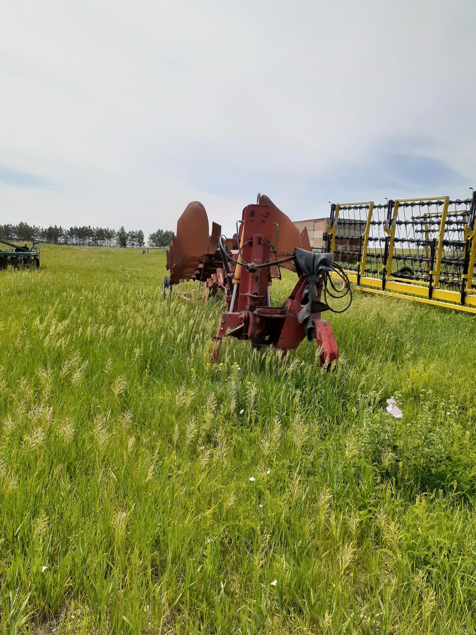 Другие Неизвестна  сельскохозяйственные , 2010г