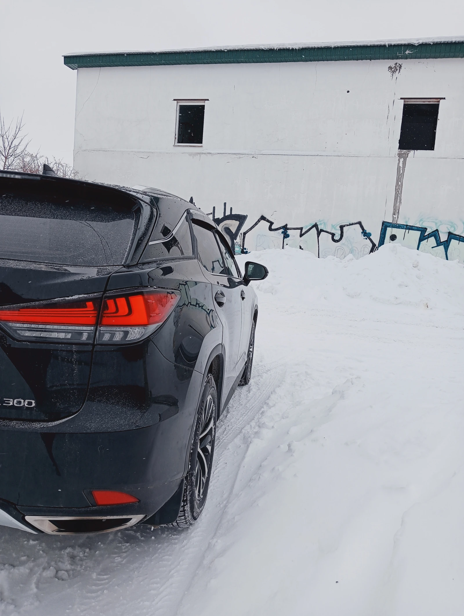 Lexus RX, 2020г, полный привод, автомат