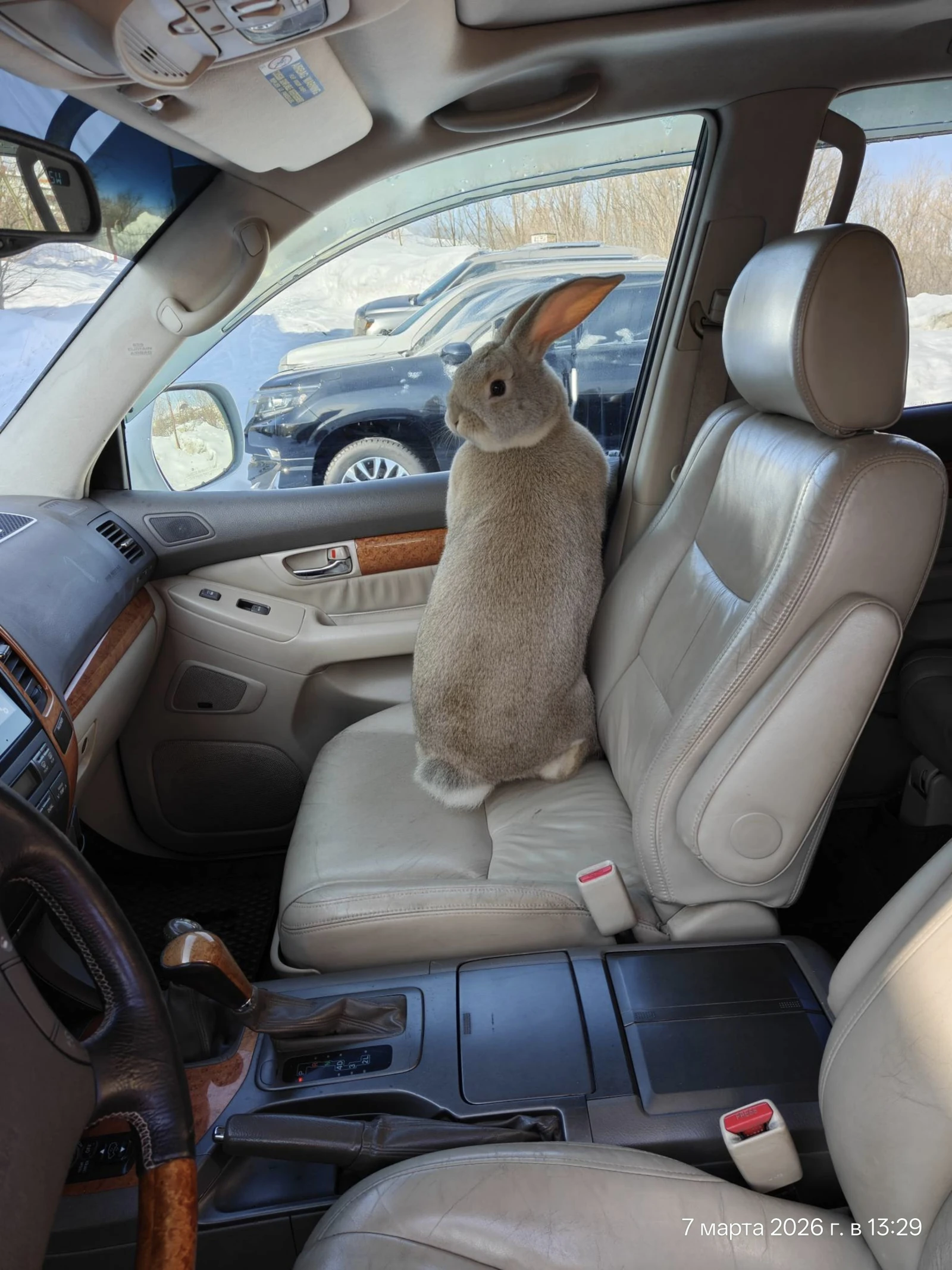 Lexus GX, 2005г, полный привод, автомат