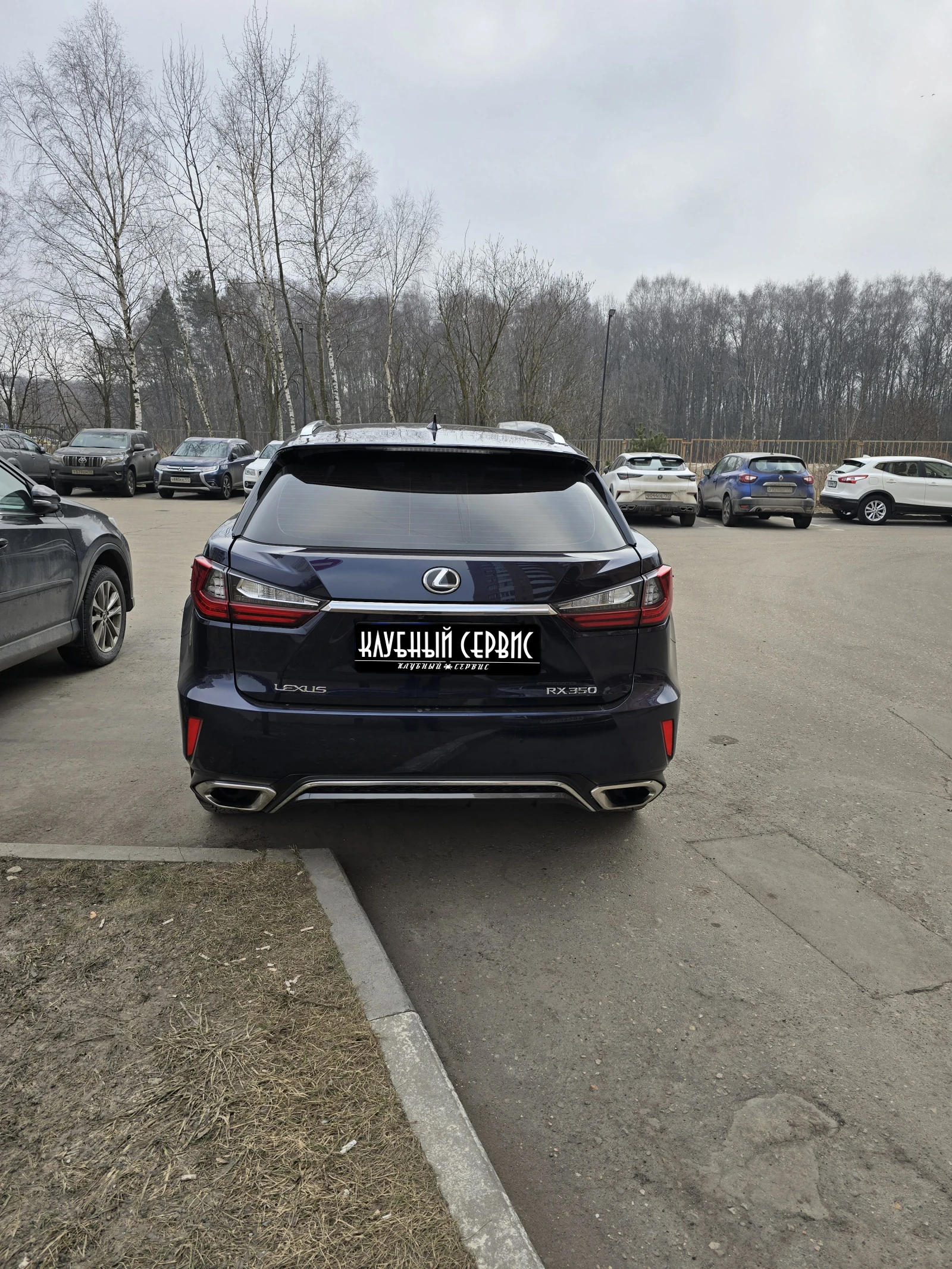 Lexus RX, 2019г, полный привод, автомат