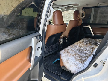 Toyota Land Cruiser Prado, 2021г, полный привод, автомат
