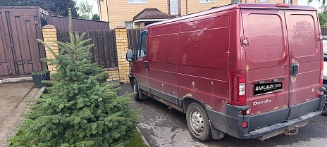 Fiat Doblo, 2009г, передний привод, механика