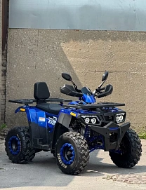 Motoland Wild Track 200, 2025г.