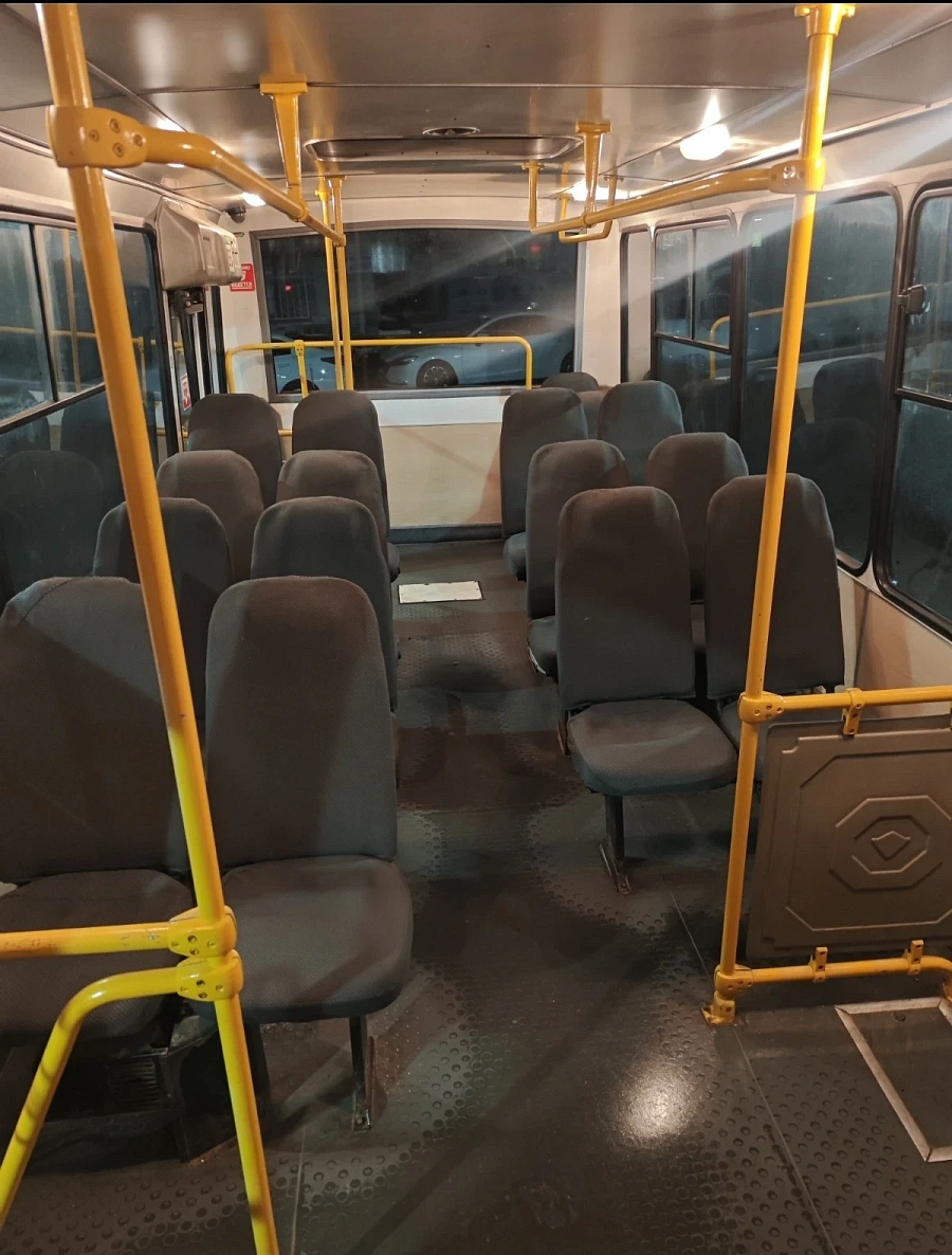 ПАЗ 3204, 2012г.