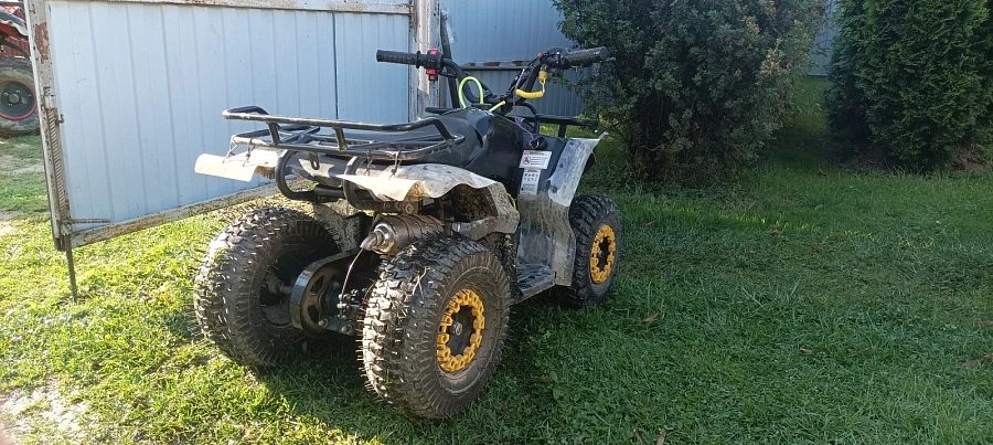 Mowgli Mini Hardy 4T, 2024г.