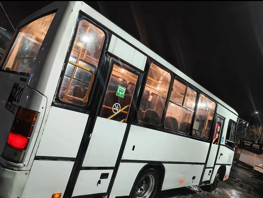 ПАЗ 3204, 2012г.