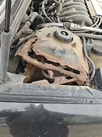 Nissan Maxima, 2004г., передний привод, автомат