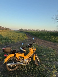 Honda Cross Cub, 2023г.