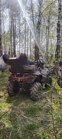 Stels ATV 800 Guepard Trophy, 2024г.