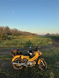 Honda Cross Cub, 2023г.