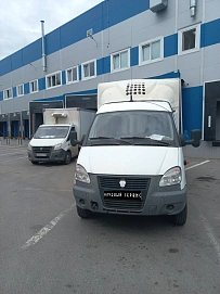 ГАЗ ГАЗель  33023 330273  Фермер, 2013г.