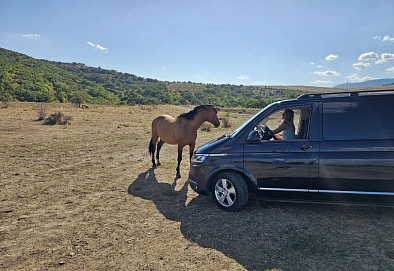 Volkswagen Caravelle, 2020г., полный привод, робот