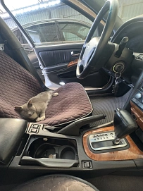 Nissan Maxima, 2005г., передний привод, автомат