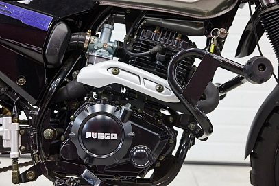 Fuego Rambolor 250, 2025г.