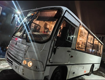ПАЗ 3204, 2012г.