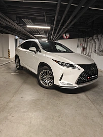 Lexus RX, 2020г, полный привод, автомат