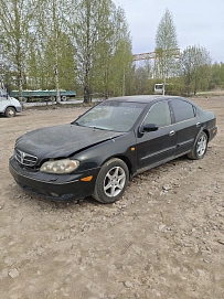 Nissan Maxima, 2004г., передний привод, автомат