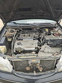 Nissan Maxima, 2004г., передний привод, автомат