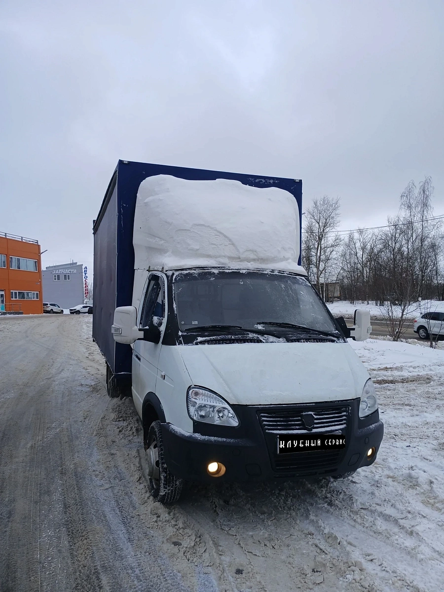 ГАЗ ГАЗель  3302 , 2005г.